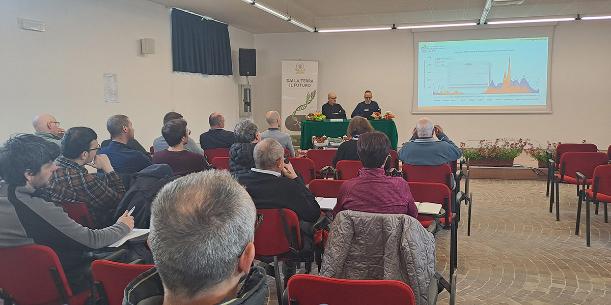 Piccoli frutti, il punto su gestione in campo e difesa